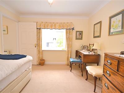 Picture 19